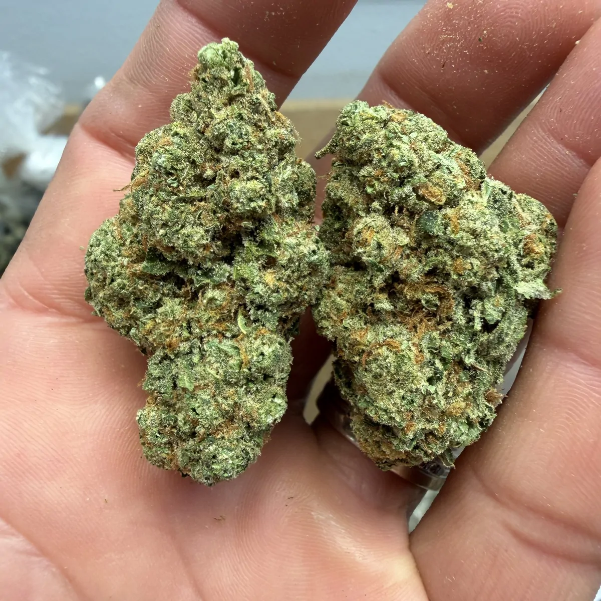 Blue Dream Flower